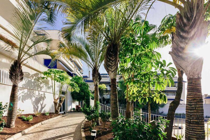 Appartamento Large Direct Ocean Front 4bd Los Cristianos (Tenerife)